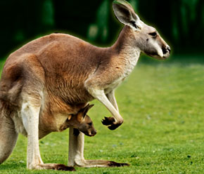 Rolf Klein I Innovation